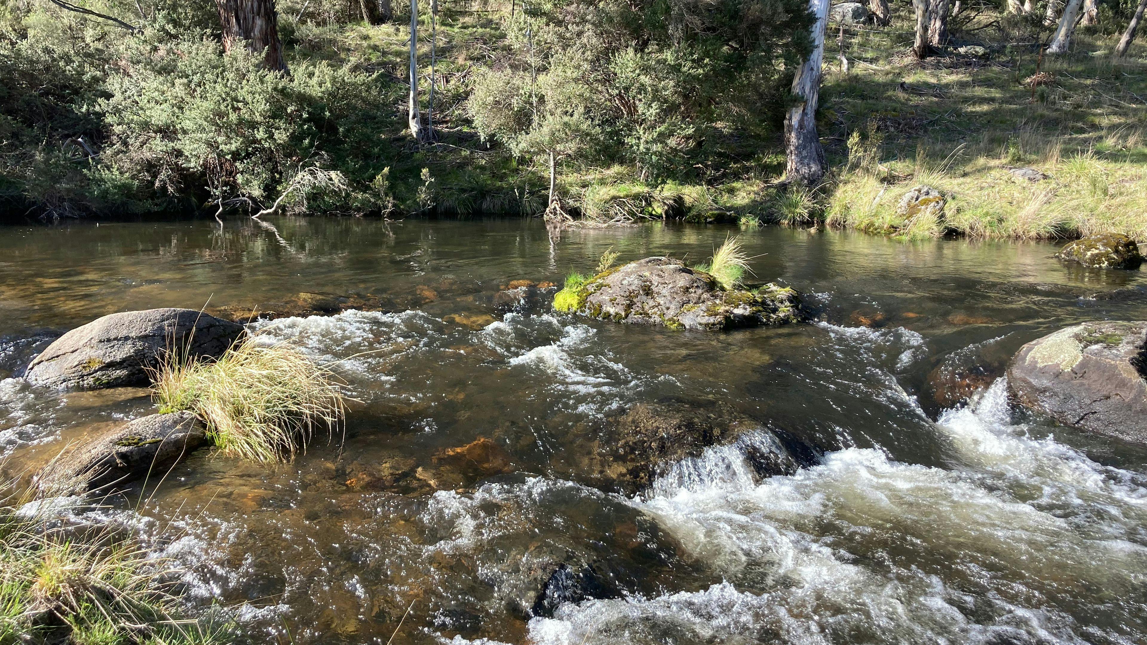 Bigyard Hipcamp where ...