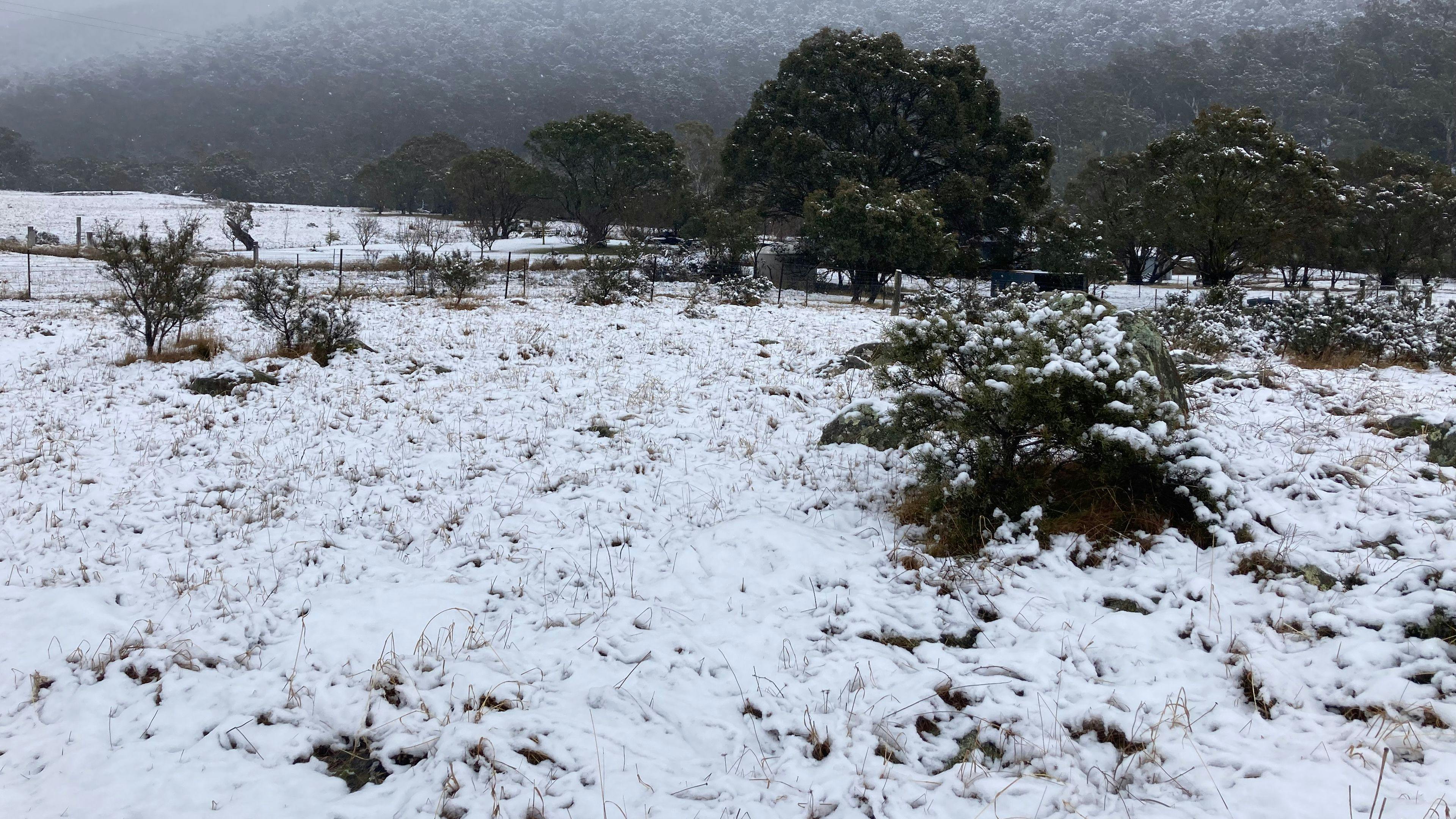 Bigyard Hipcamp where ...