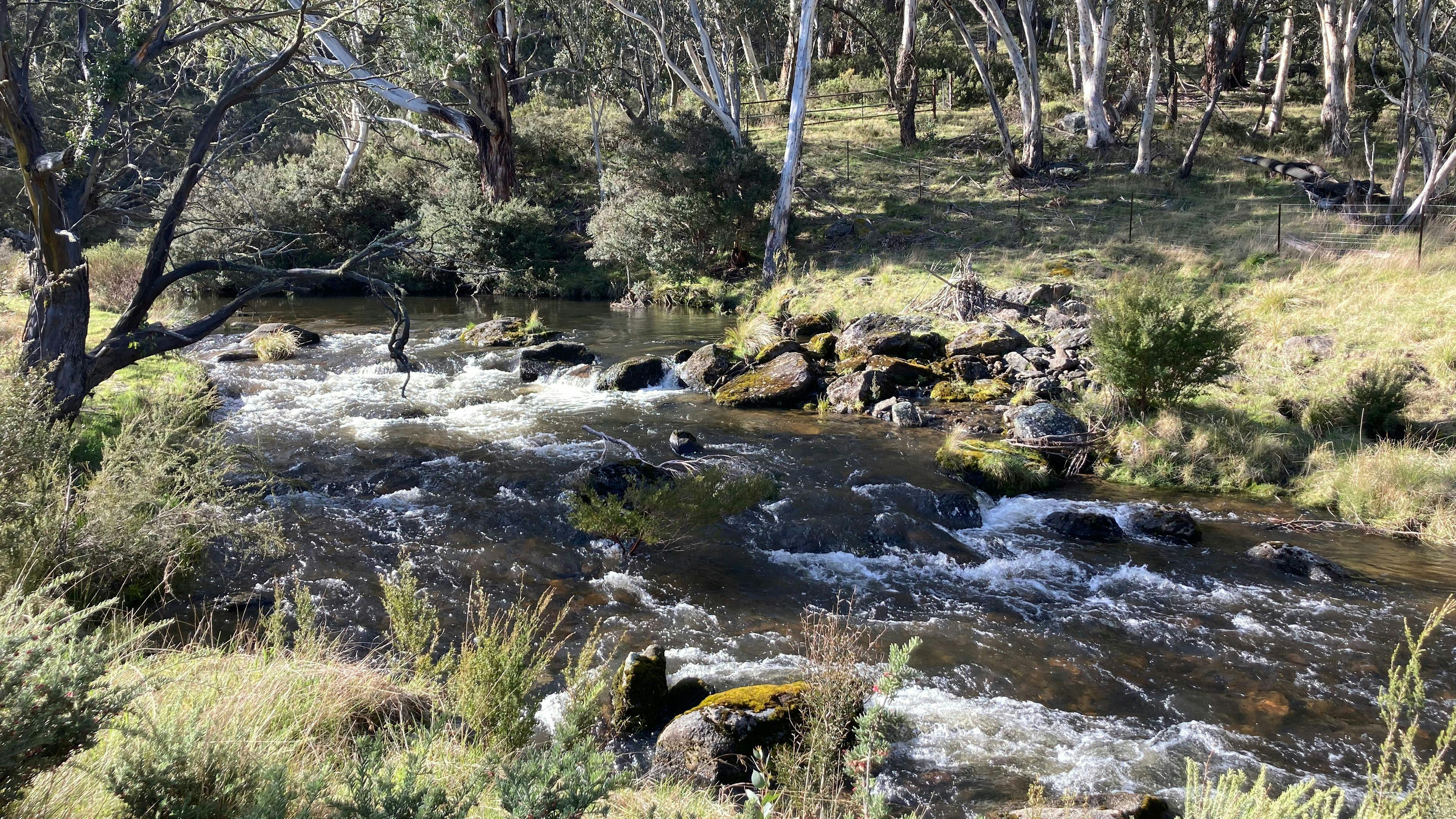 Bigyard Hipcamp where ...