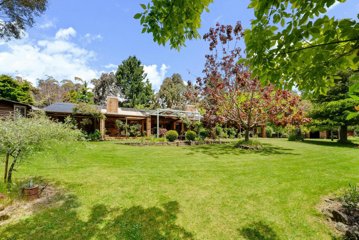 Big Yard Farm Summertime