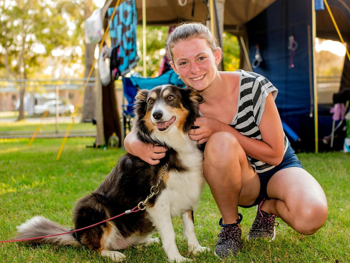 BIG4 Happy Hallidays Pet-Friendly Site