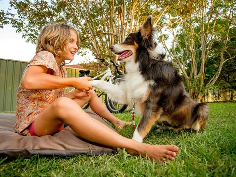 BIG4 Happy Hallidays Powered Pet-Friendly Site