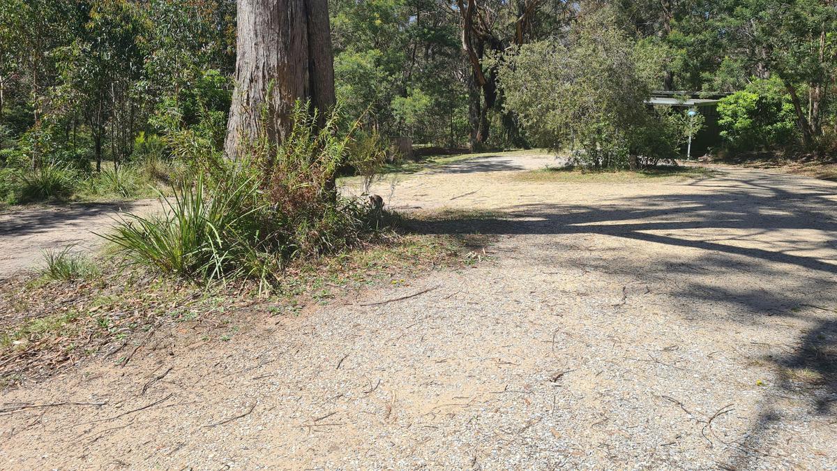 Bebrue Mittagong