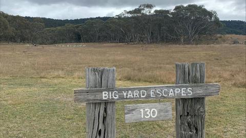 Big Yard Escapes