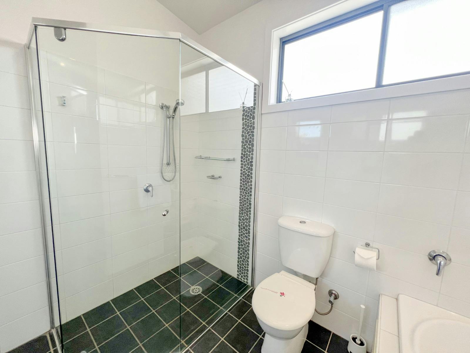 The shower and toilet in the bathroom