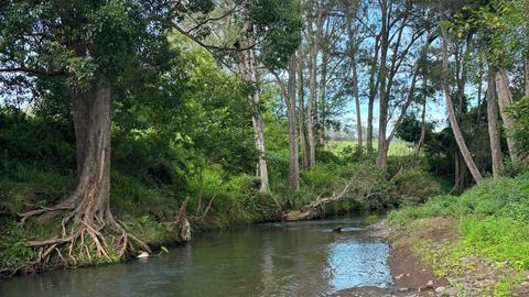 Border Ranges Pastoral