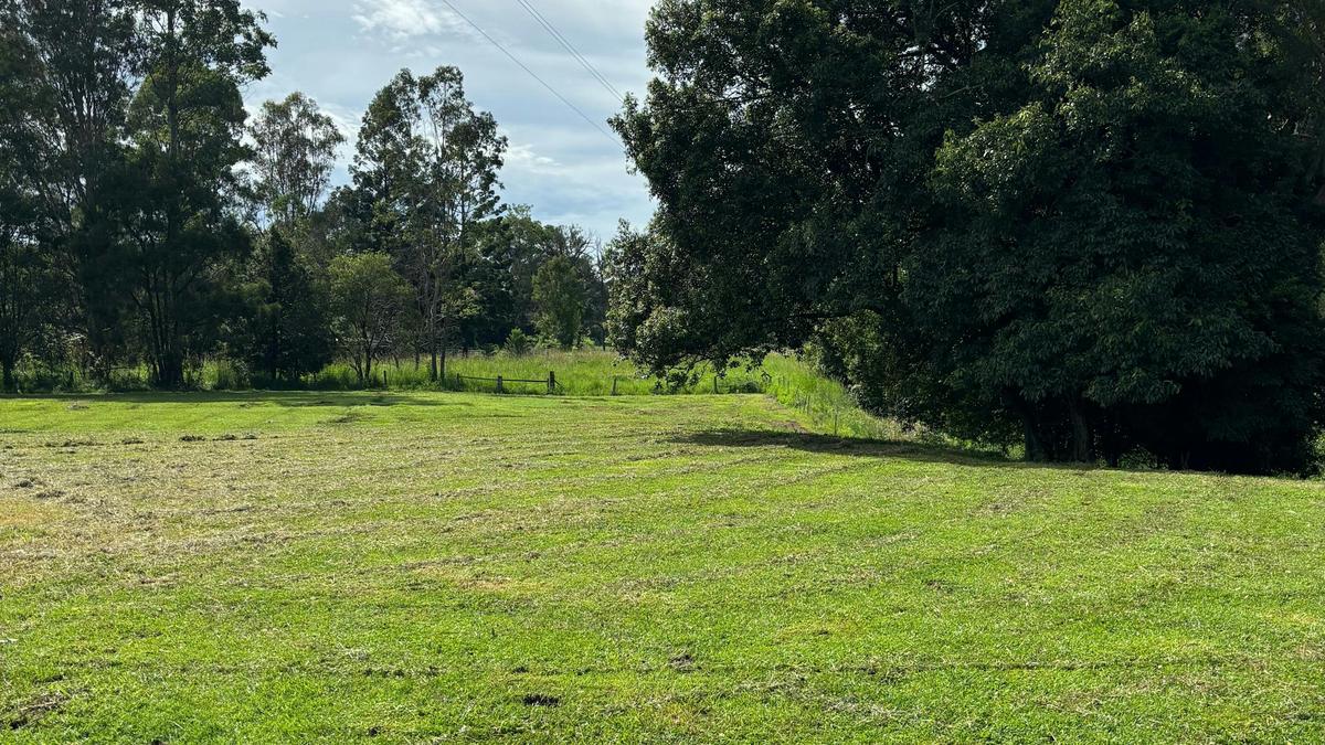Border Ranges Pastoral