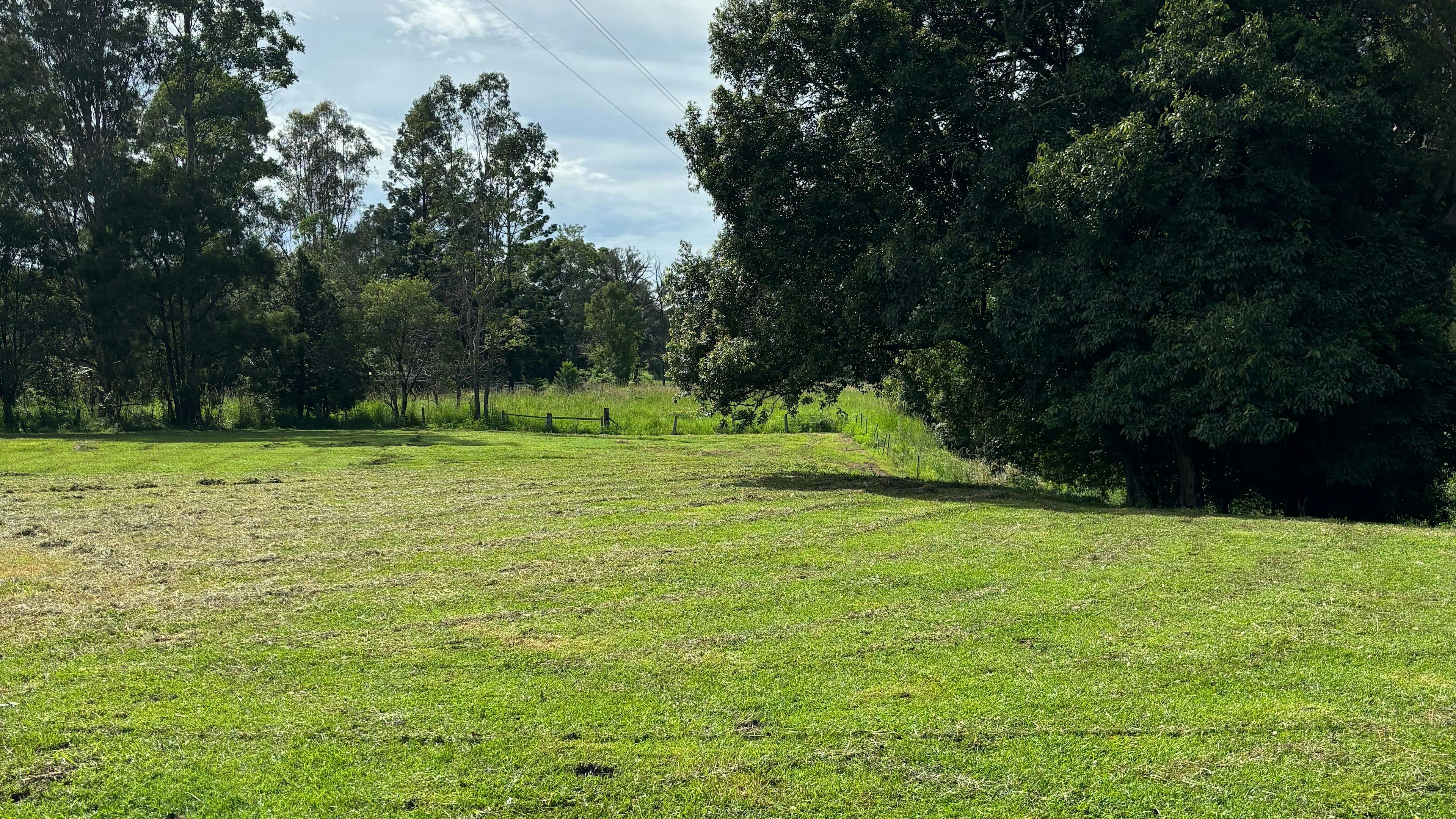 Border Ranges Pastoral