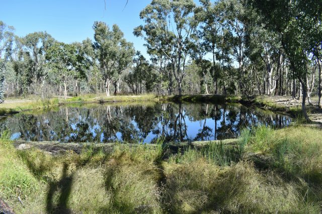 Currys Gap State Conservation Area