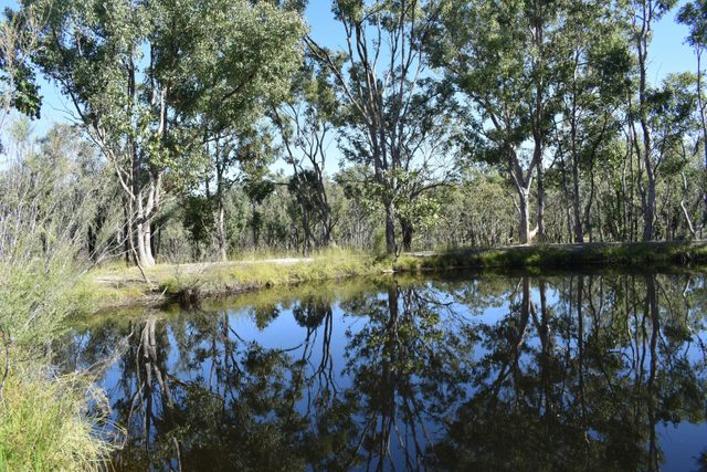 Currys Gap State Conservation Area