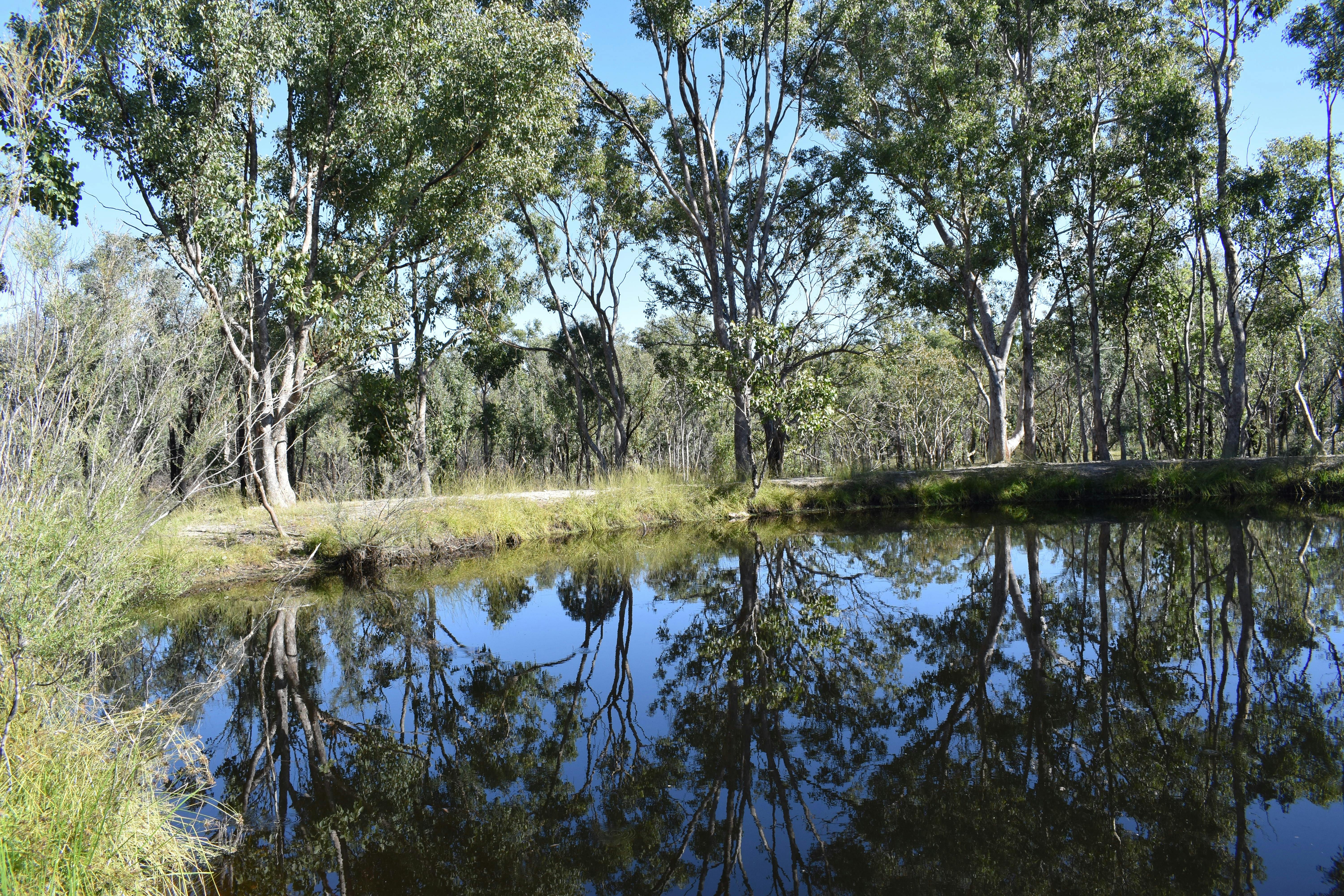 Currys Gap State Conservation Area