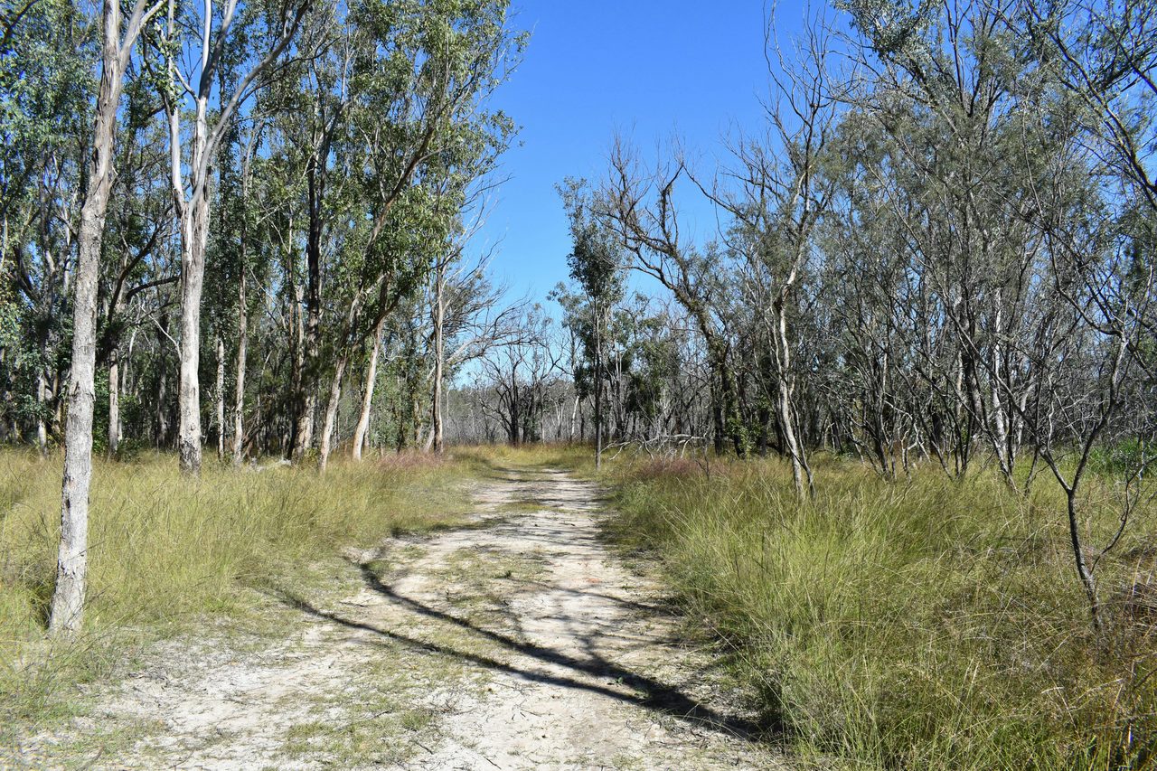 Currys Gap State Conservation Area