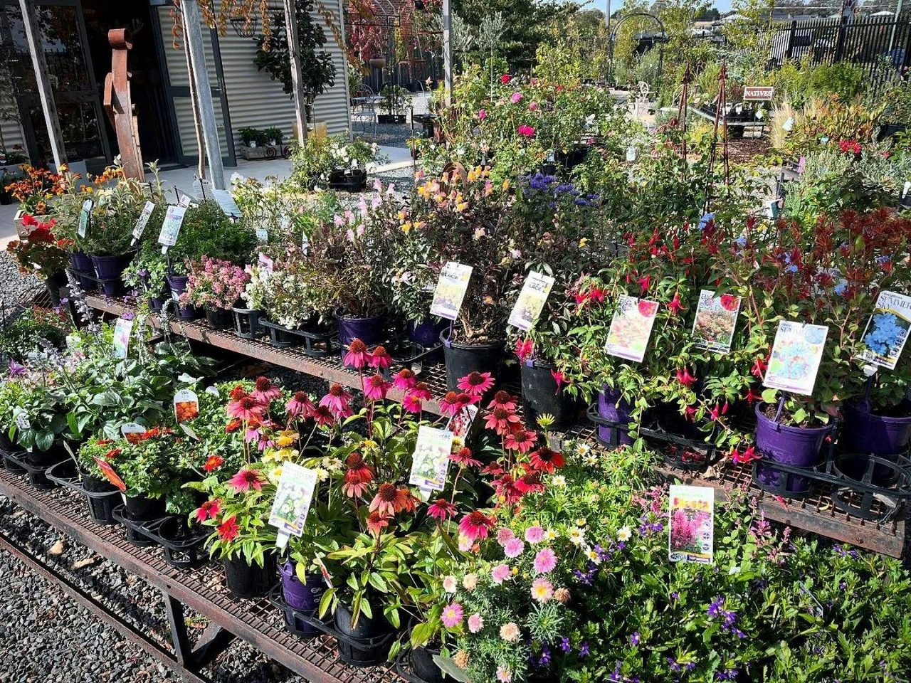 Crookwell Nursery