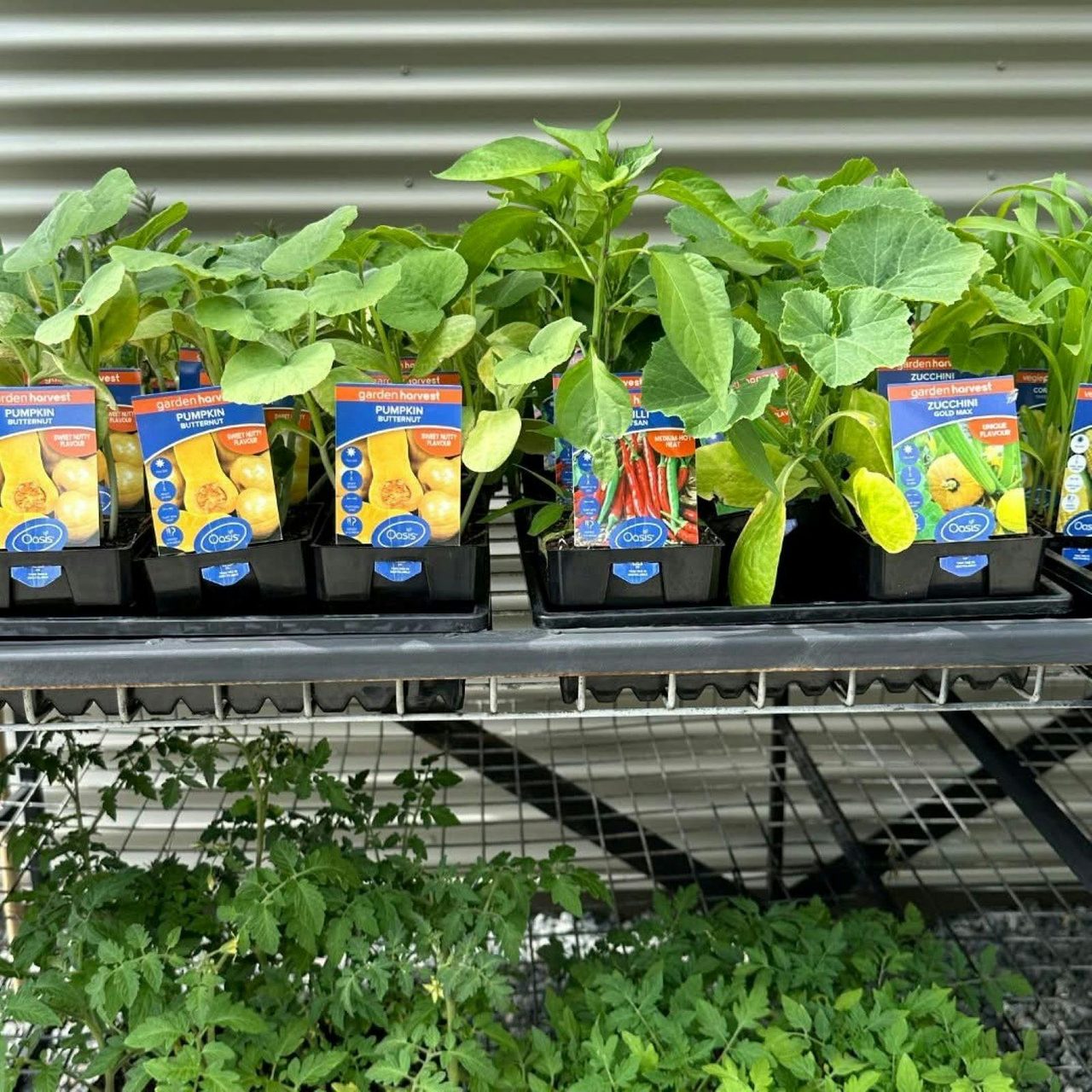 Crookwell Nursery