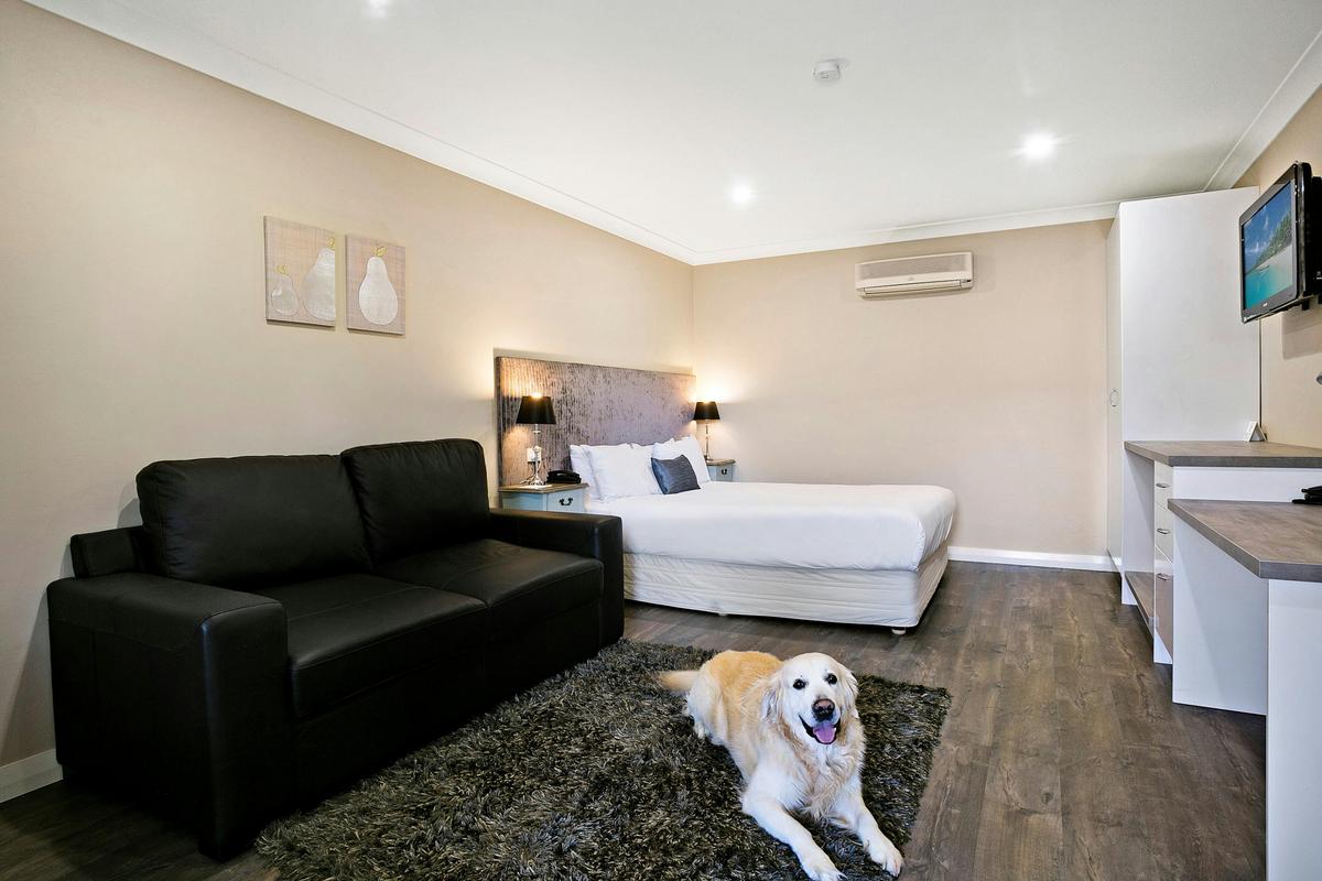 Pet Friendly Room