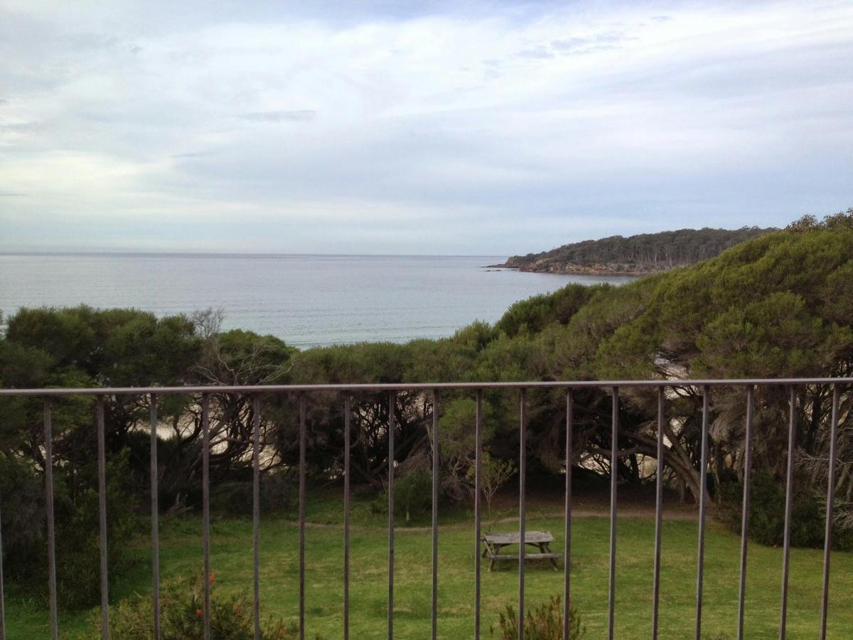 view