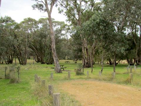 Ben Halls Campground, Weddin Mountains National Park. Photo: M Cooper/NSW Government
