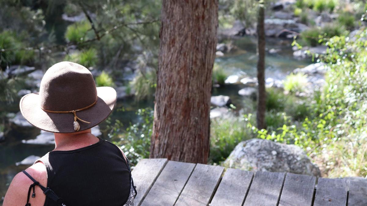 Blicks River Camping