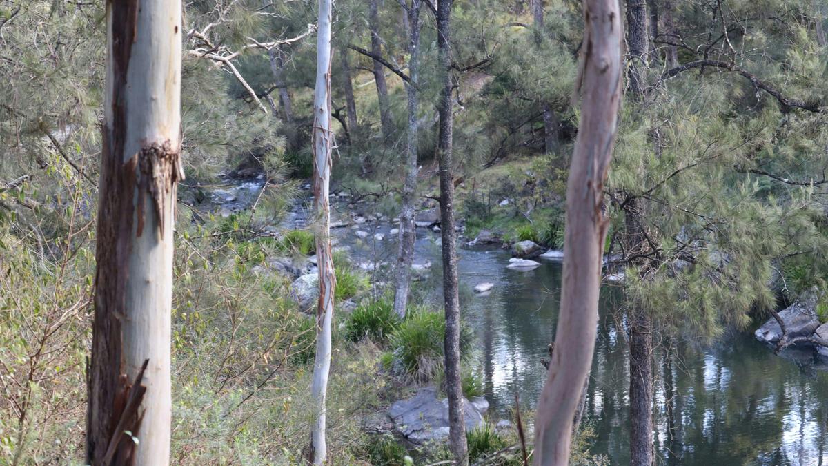 Blicks River Camping