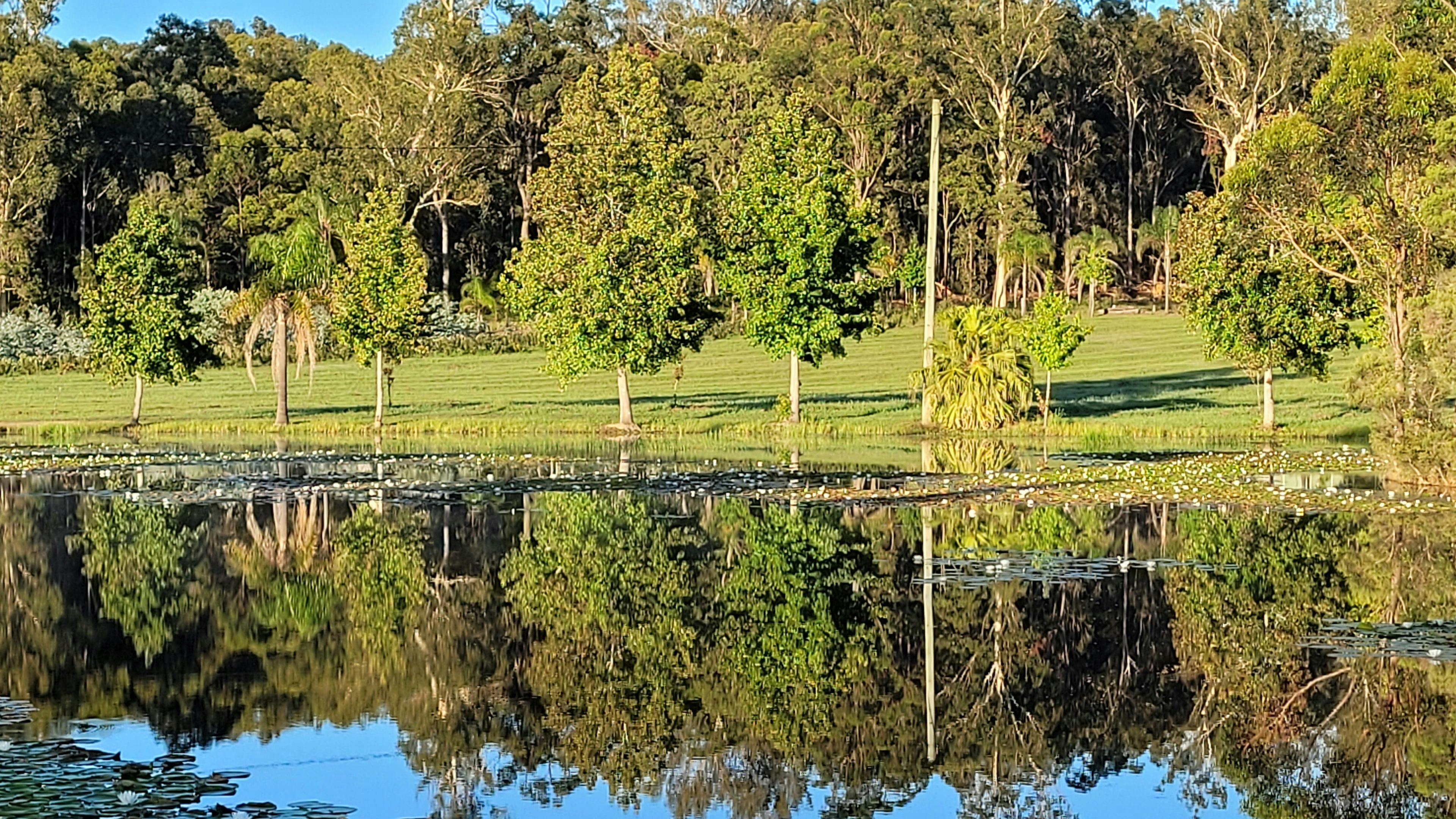 Benefields Rose Farm