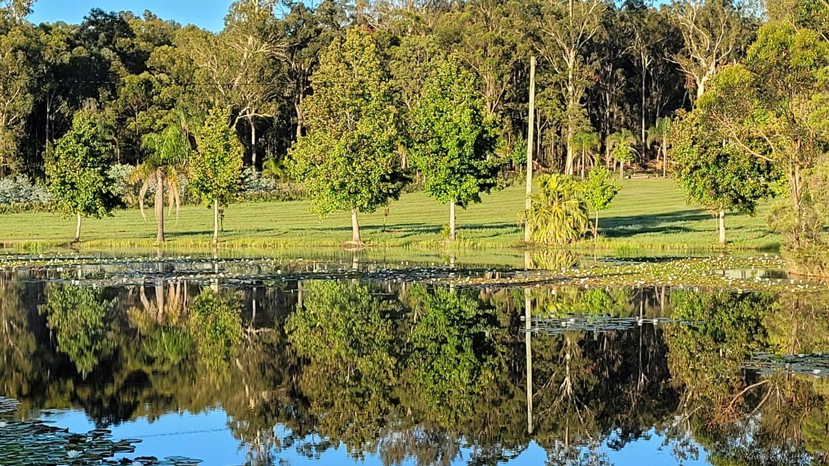 Benefields Rose Farm