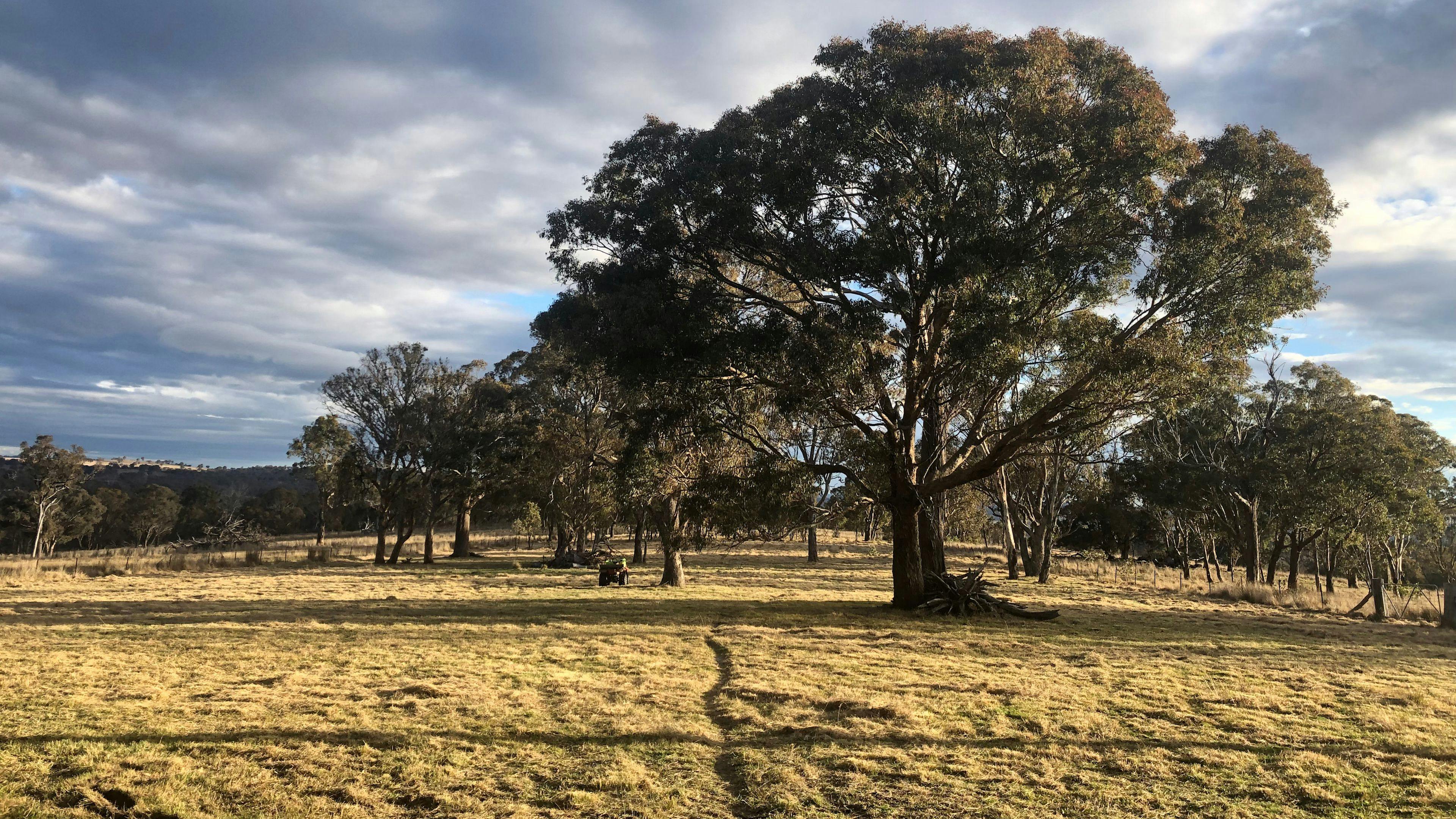 Bimbivale Caravan & Camp Sites