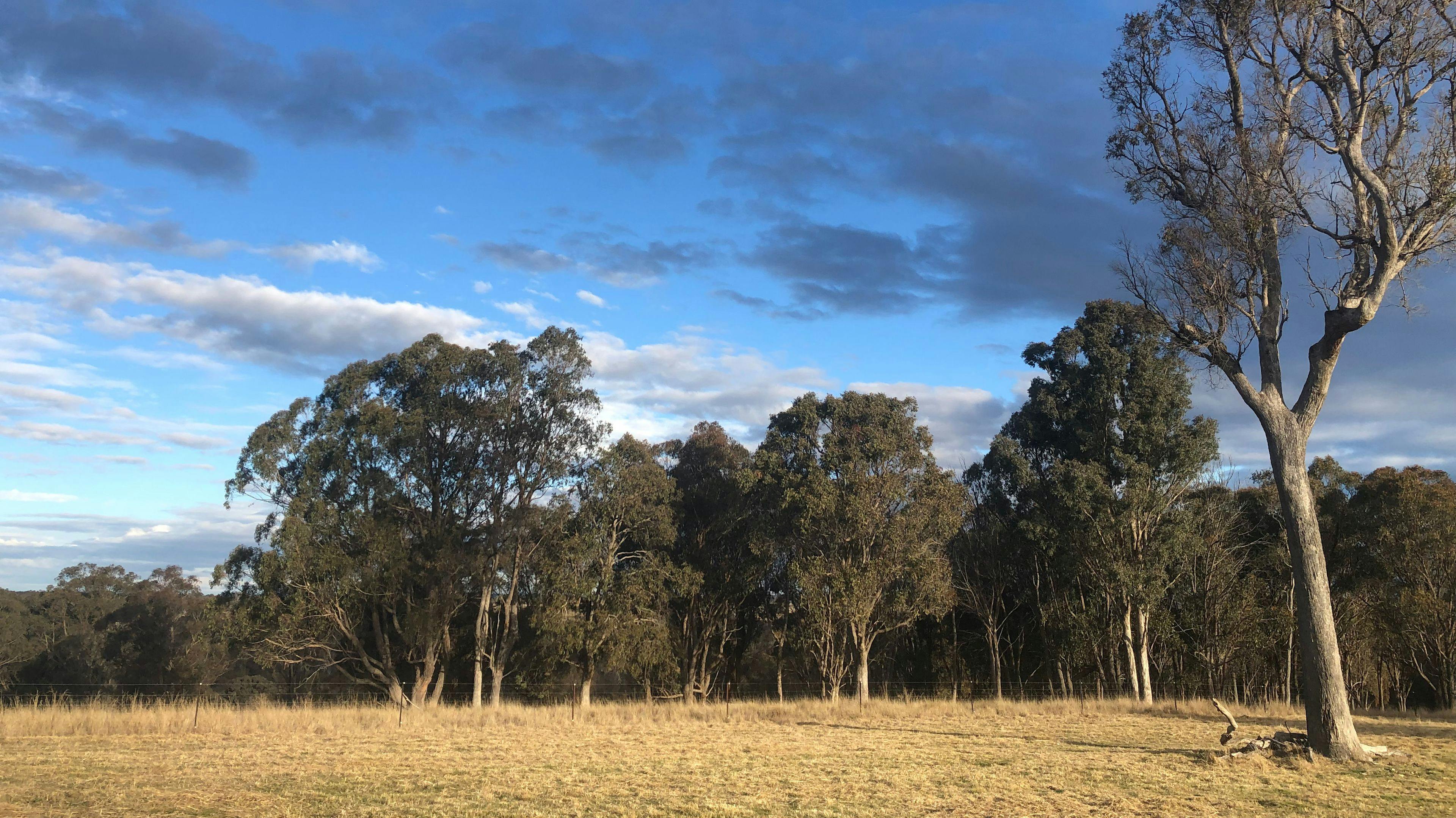 Bimbivale Caravan & Camp Sites