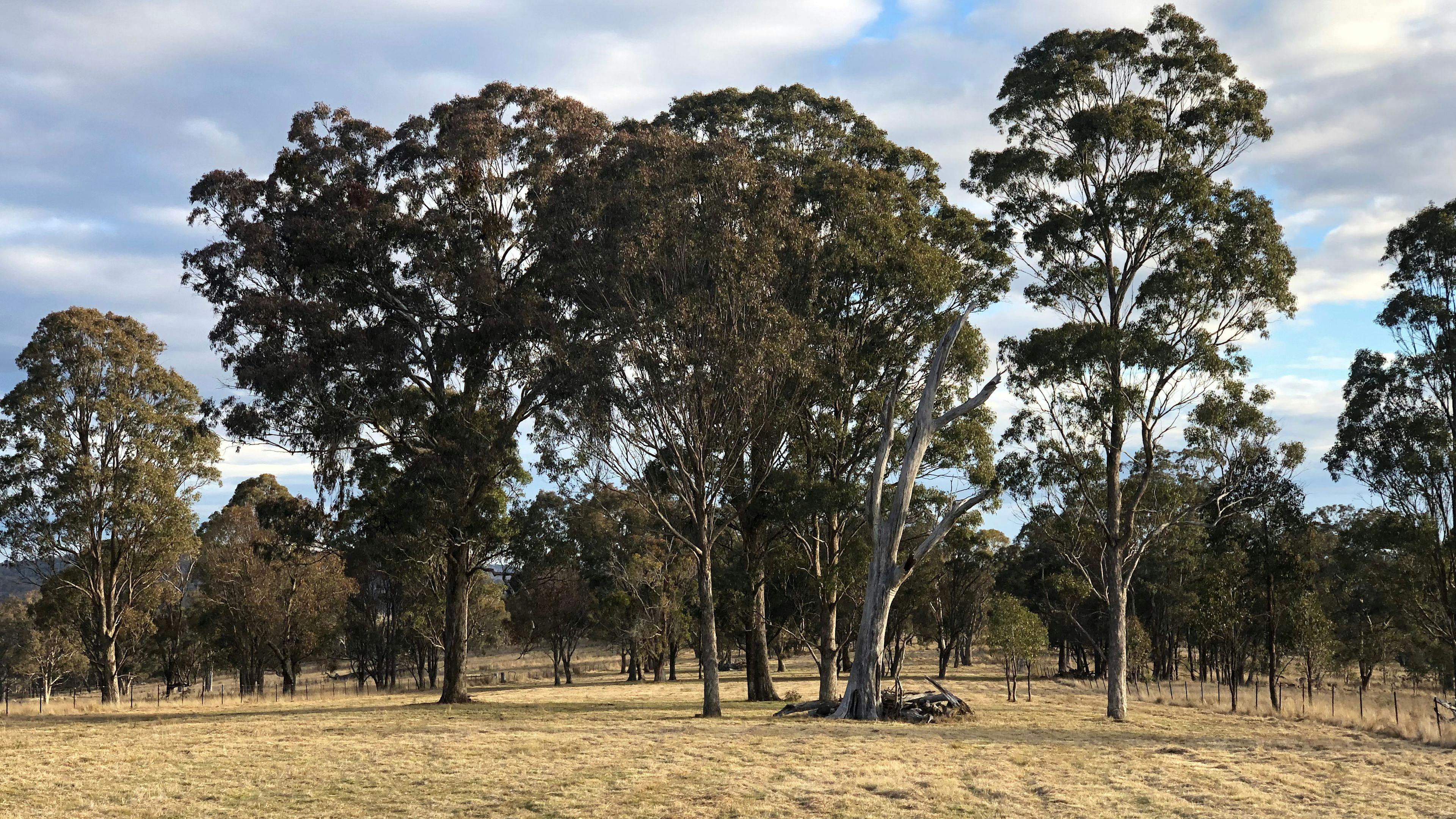 Bimbivale Caravan & Camp Sites