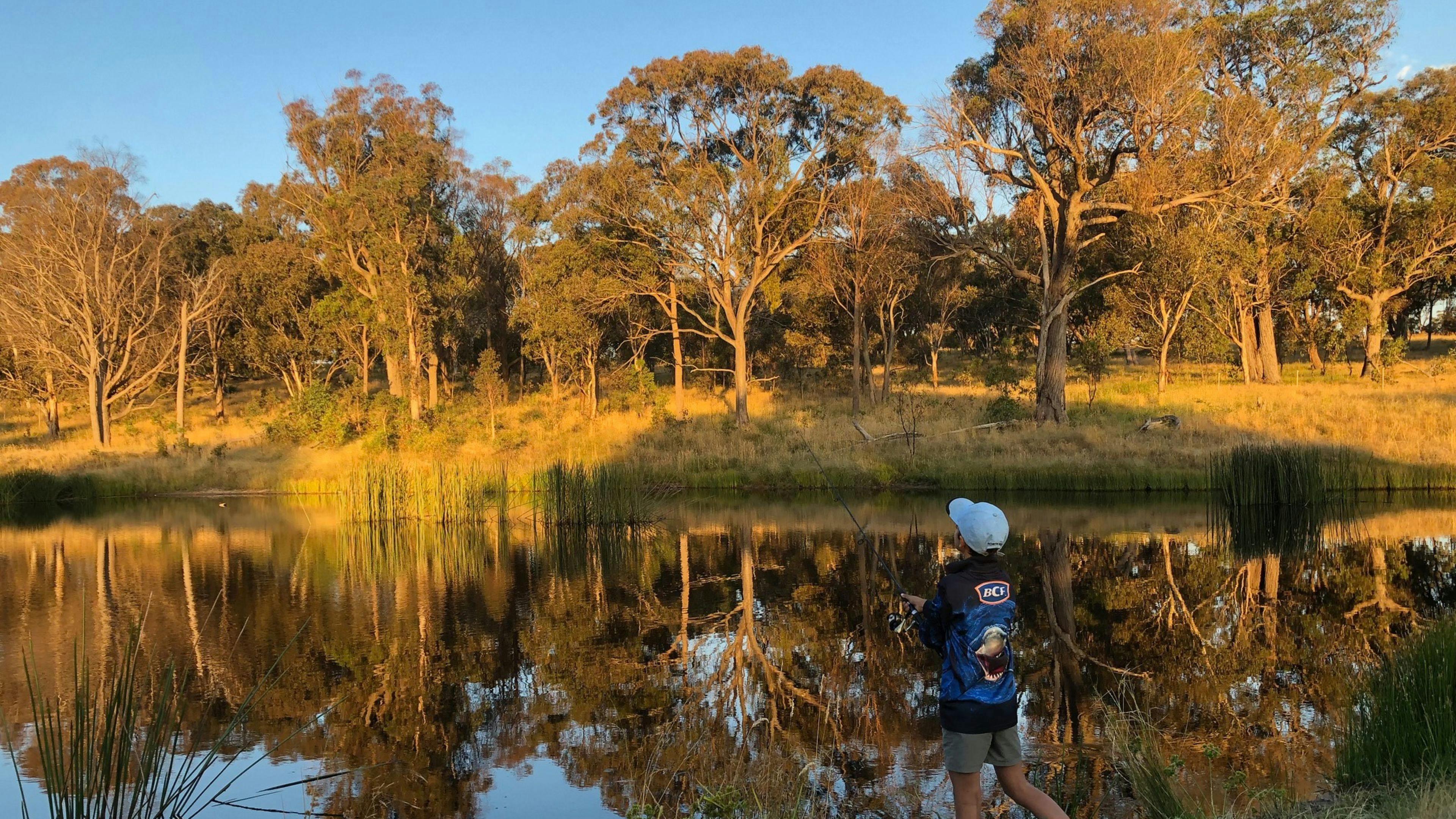 Bimbivale Caravan & Camp Sites