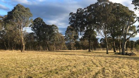 Bimbivale Caravan & Camp Sites