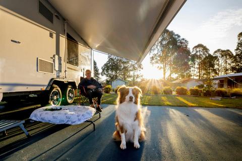Pet friendly sites