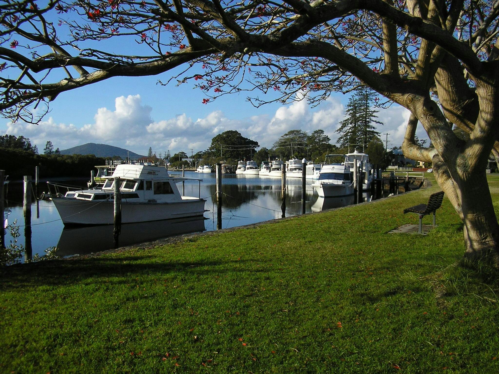 Myall River frontage to resort