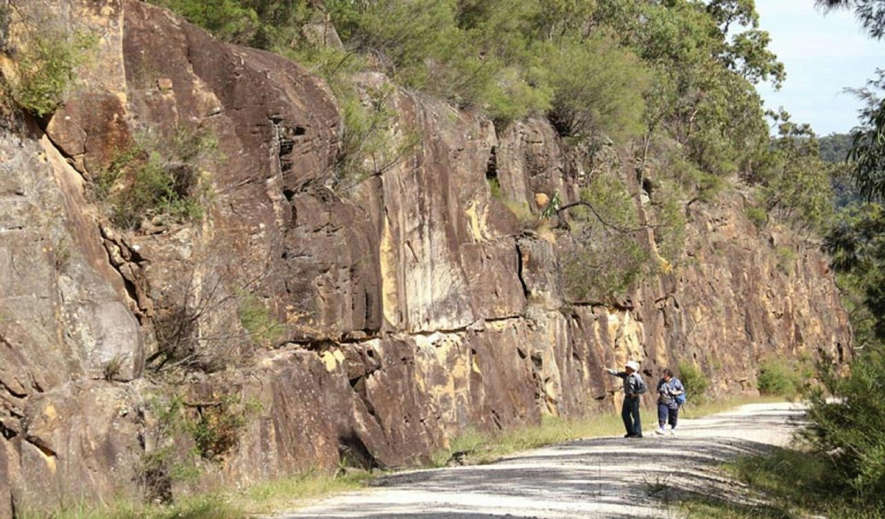Devines Hill Loop