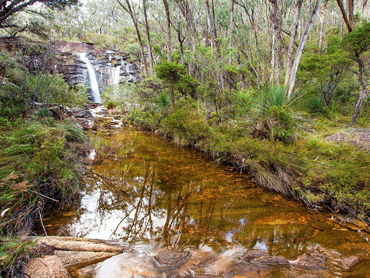 Duffer Creek and Boundary Falls in the background. Credit: Robert Cleary &copy; DCCEEW