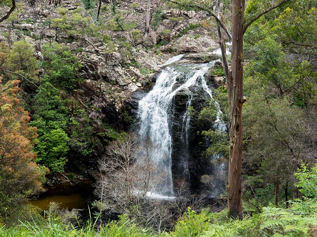 Boundary Falls waterfall. Credit: Leah Pippos &copy; DCCEEW