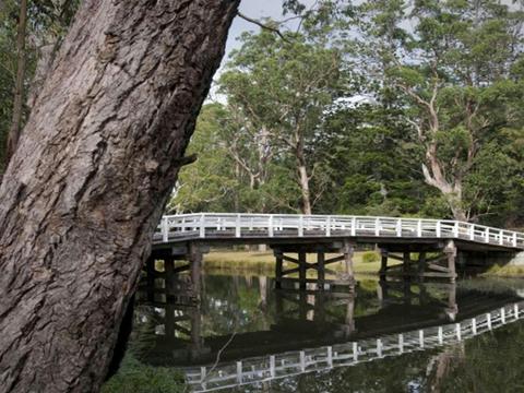 Currawong Flat picnic area