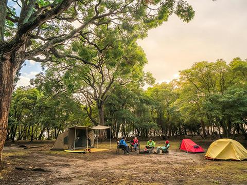 Bittangabee campground