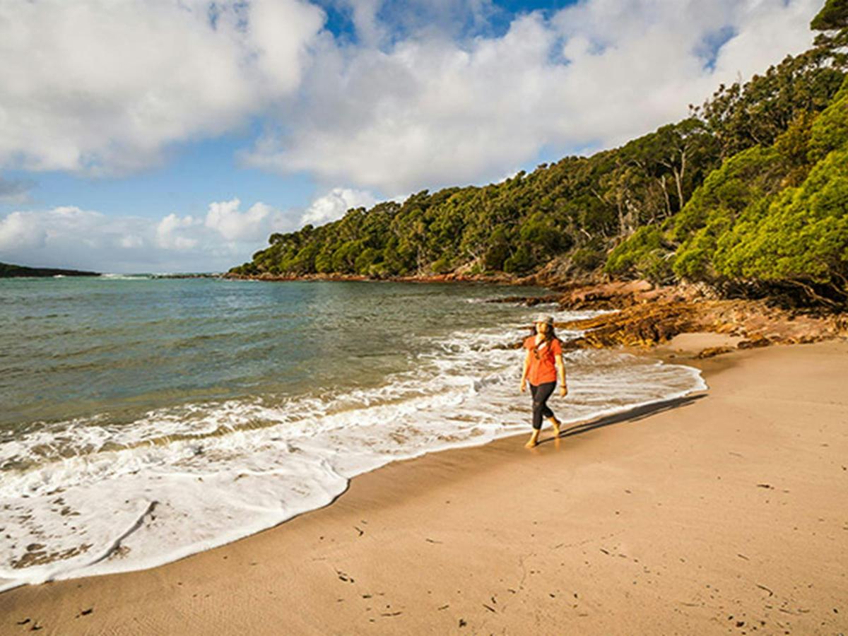 Walker on the shore of Bittangabee Bay near Bittangabee campground, Beowa National Park. Photo: John