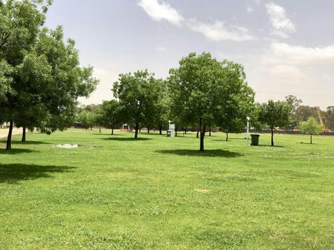 Drive Through Grass Site