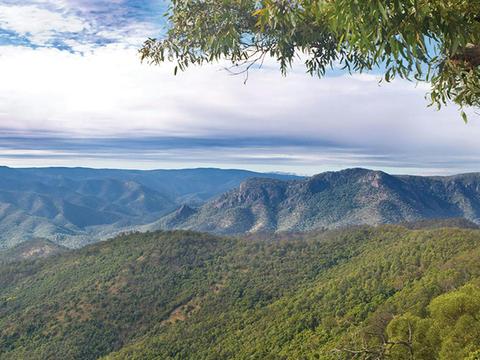 Views of Aspley River Gorge. Photo: Robert Cleary/DCCEEW &copy; OEH