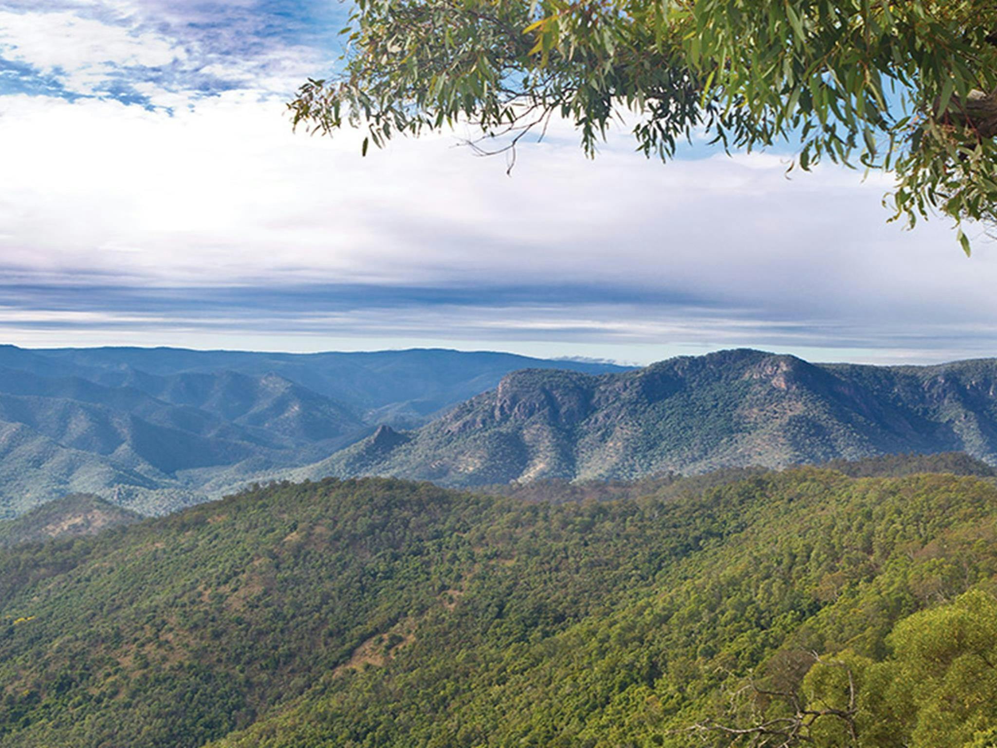 Views of Aspley River Gorge. Photo: Robert Cleary/DCCEEW &copy; OEH