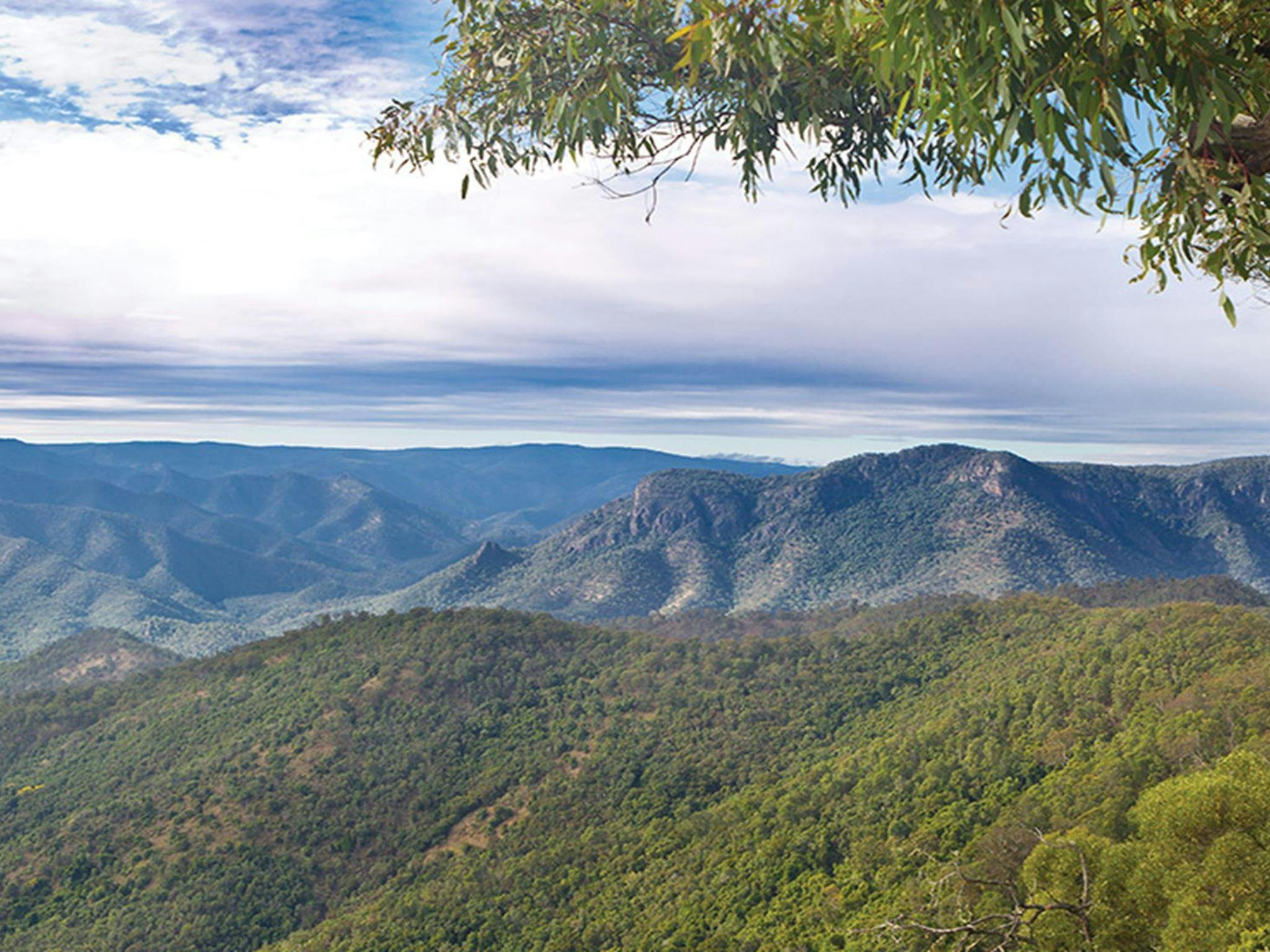 Views of Aspley River Gorge. Photo: Robert Cleary/DCCEEW &copy; OEH
