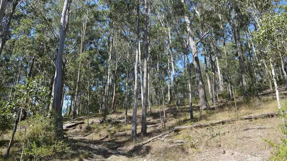 Bonalbo Wilderness Retreat