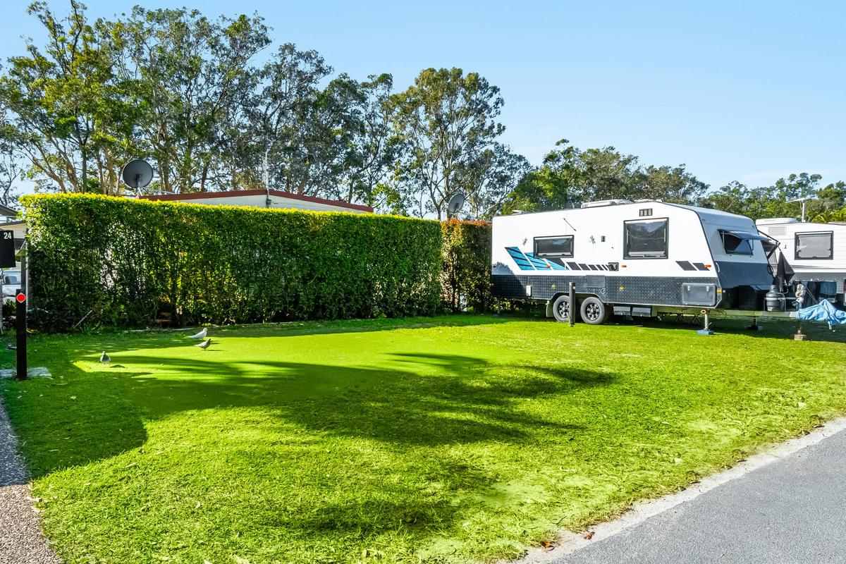 Medium Artificial Site