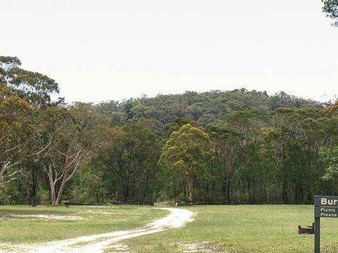 Burralow Creek campground and picnic area