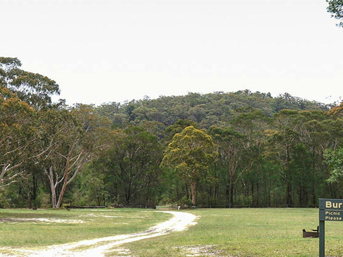 Burralow Creek campground, Blue Mountains National Park. Photo: Steve Alton/OEH