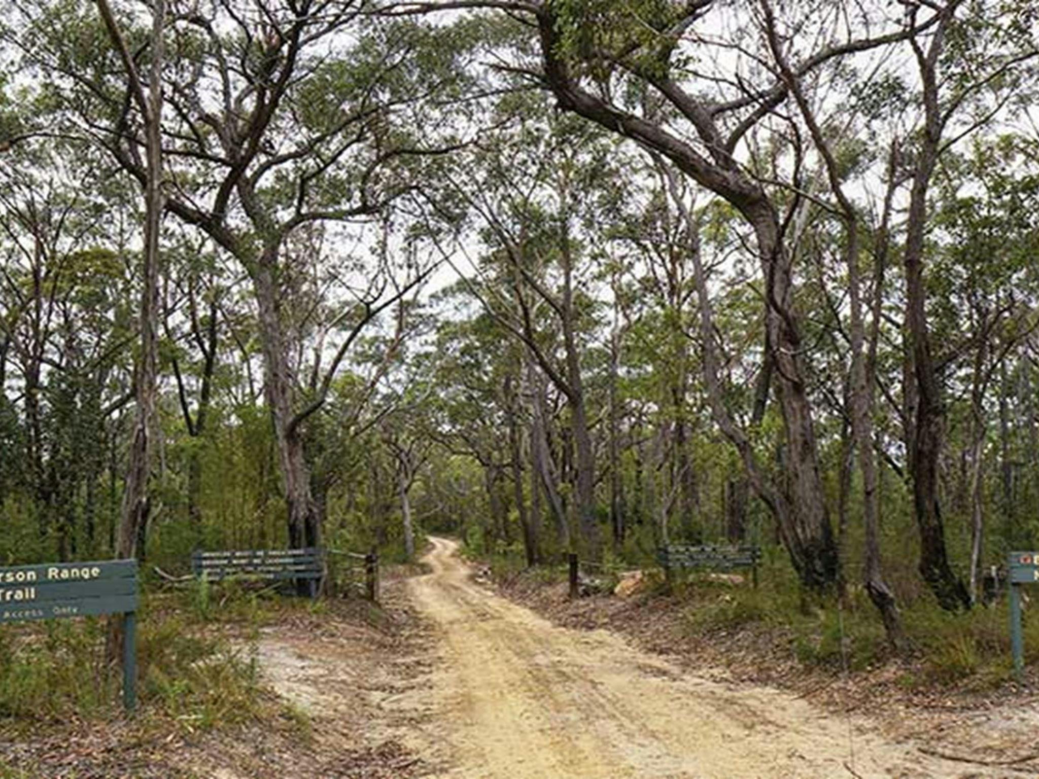 Paterson Range fire trail, Blue Mountains National Park. Photo: Steve Alton/OEH