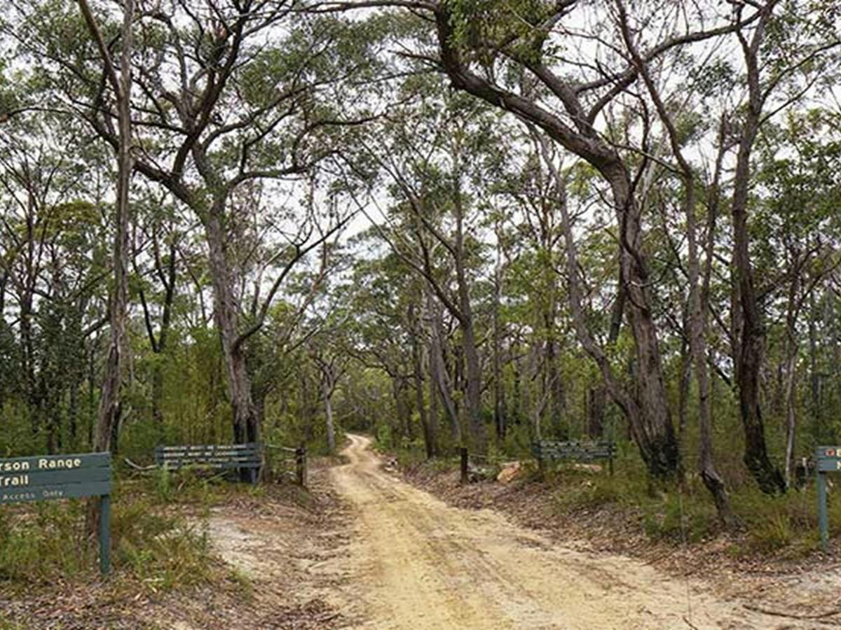 Paterson Range fire trail, Blue Mountains National Park. Photo: Steve Alton/OEH