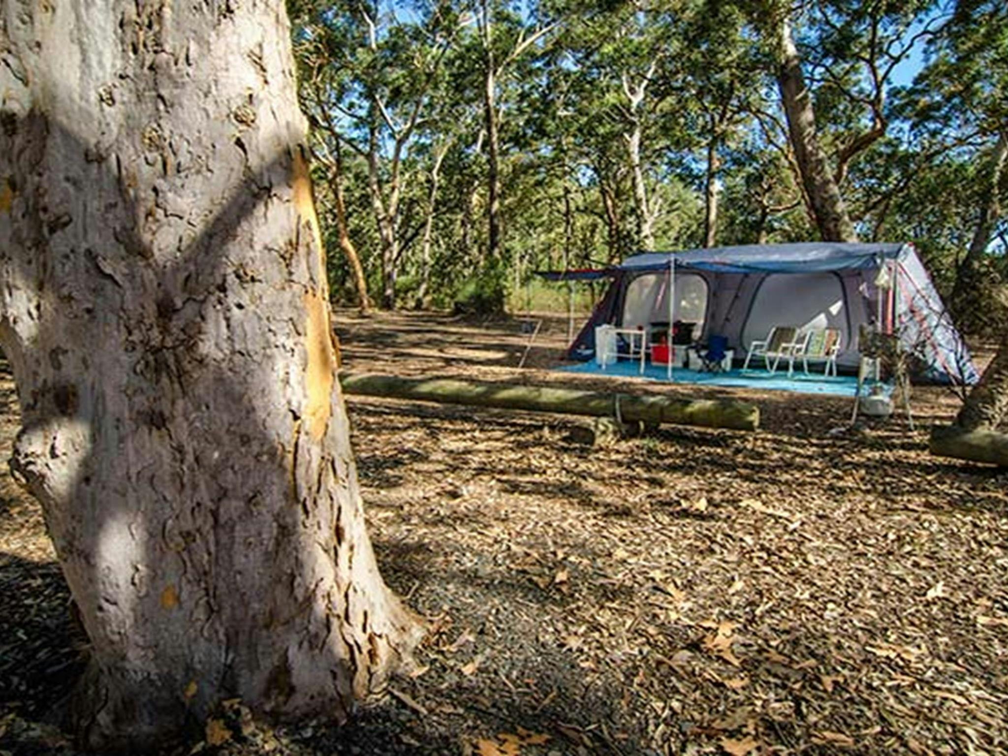 Boomeri campground, Myall Lakes National Park. Photo: John Spencer/NSW Government