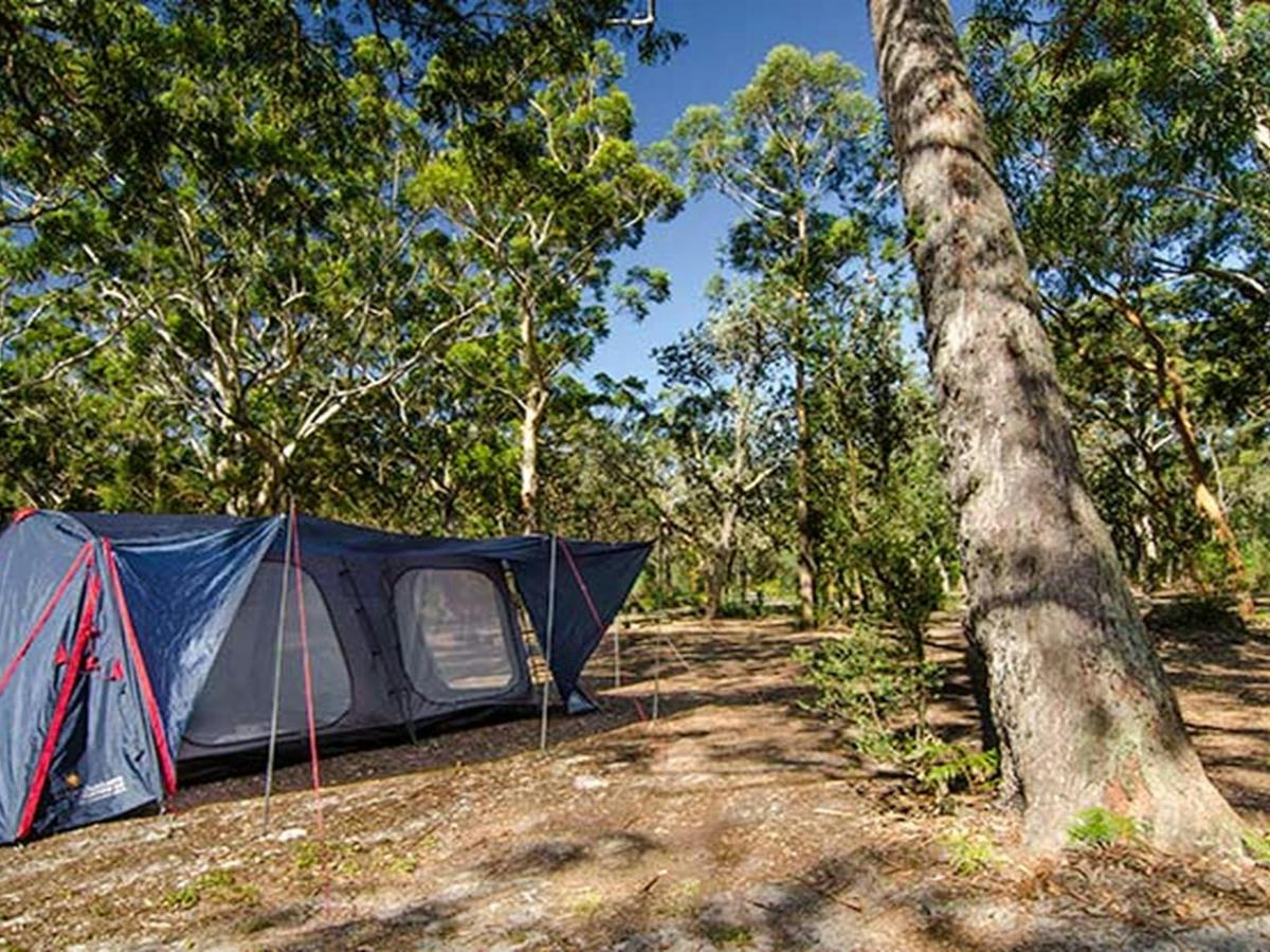 Boomeri campground